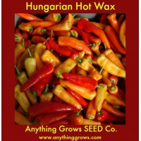Pepper - HOT - Hungarian Hot Wax - Organic